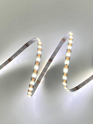 CAT Esnek Nokta COB CCT LED Şerit Dinamik Beyaz DC 24V